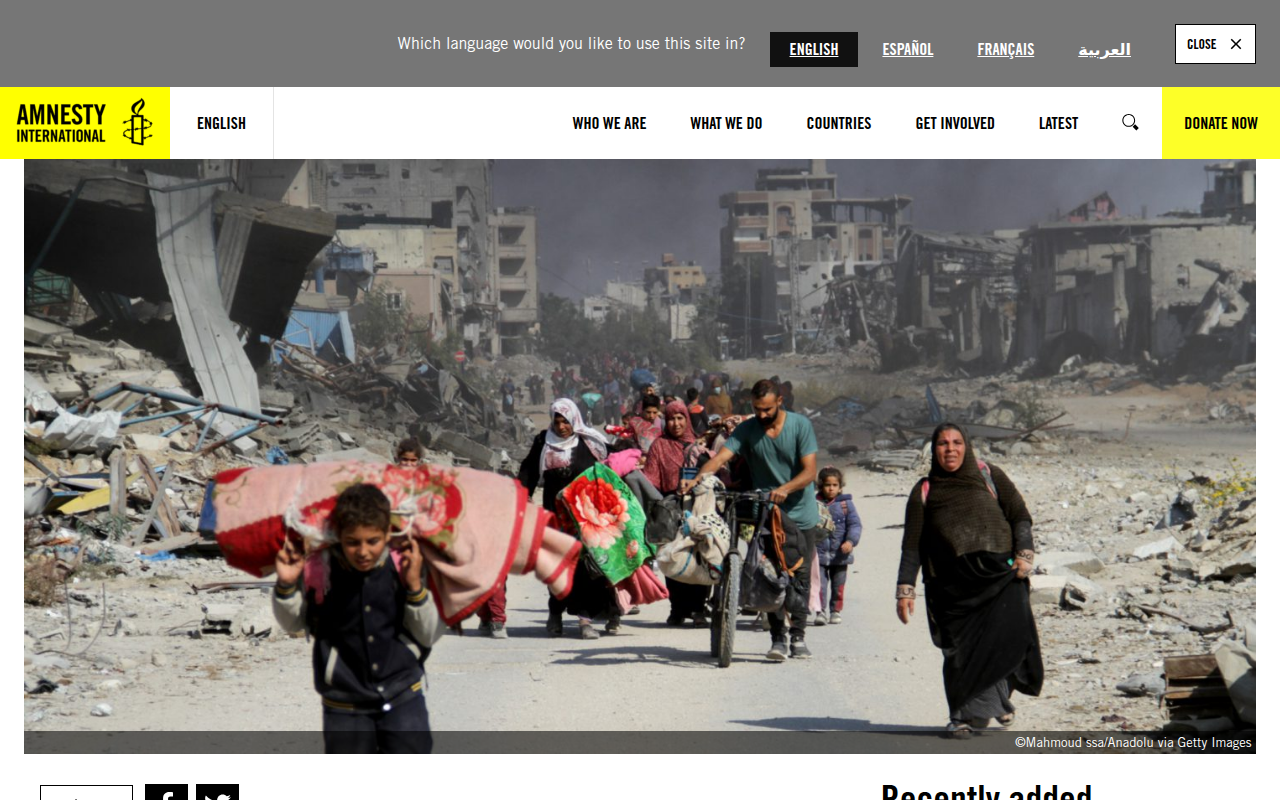 Screenshot of Amnesty International: genocide conclusion (Dec 2024)